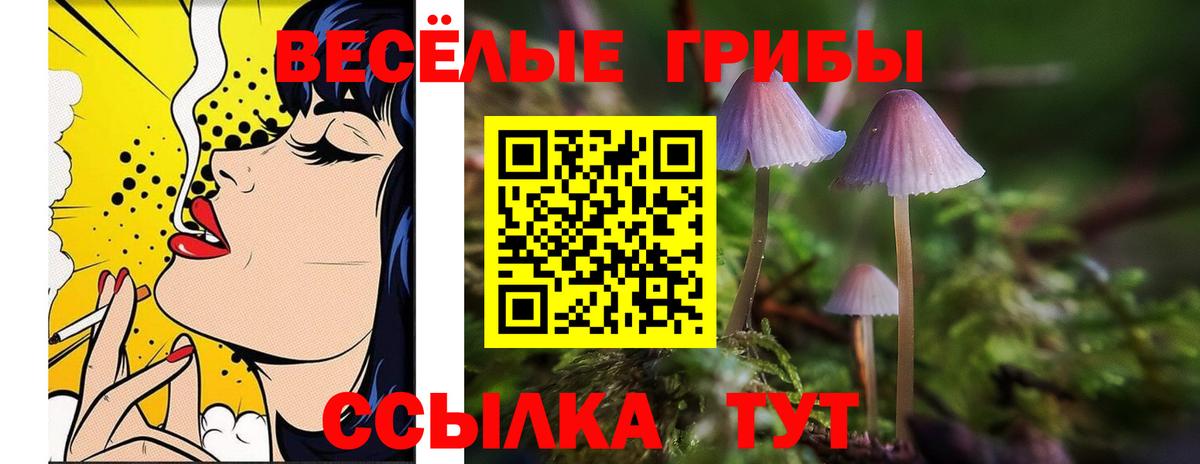 Псилоцибиновые грибы MAGIC MUSHROOMS  Вход с VPN  Биробиджан 