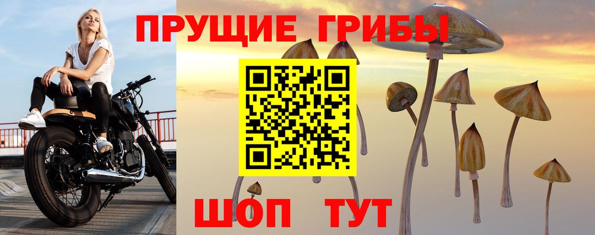 Галлюциногенные грибы прущие грибы Биробиджан